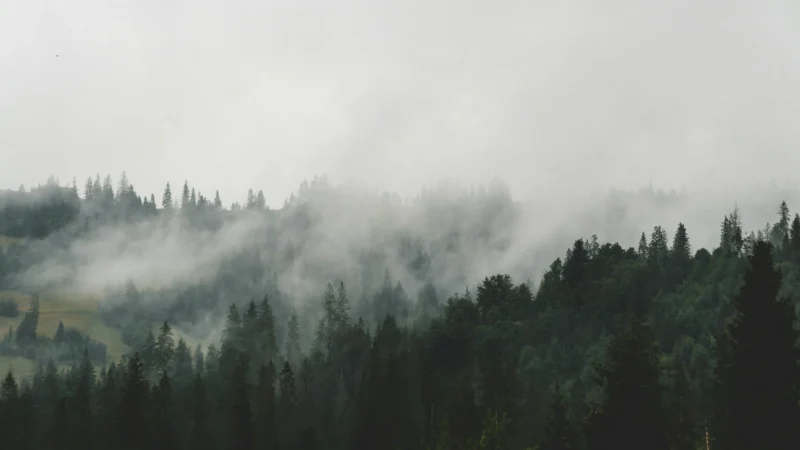 pexels-photo-9076763