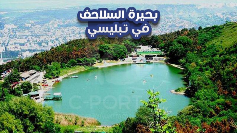 السلاحف-في-تبليسي-الصورة-الرئيسية